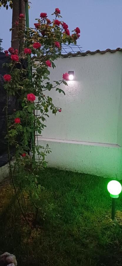 Casa Ella Hotell Tuzla Exteriör bild